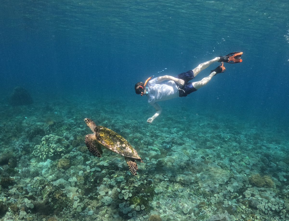 Komodo island day tour