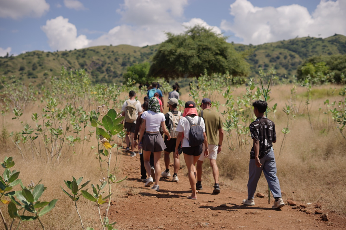 komodo 3 days excursion