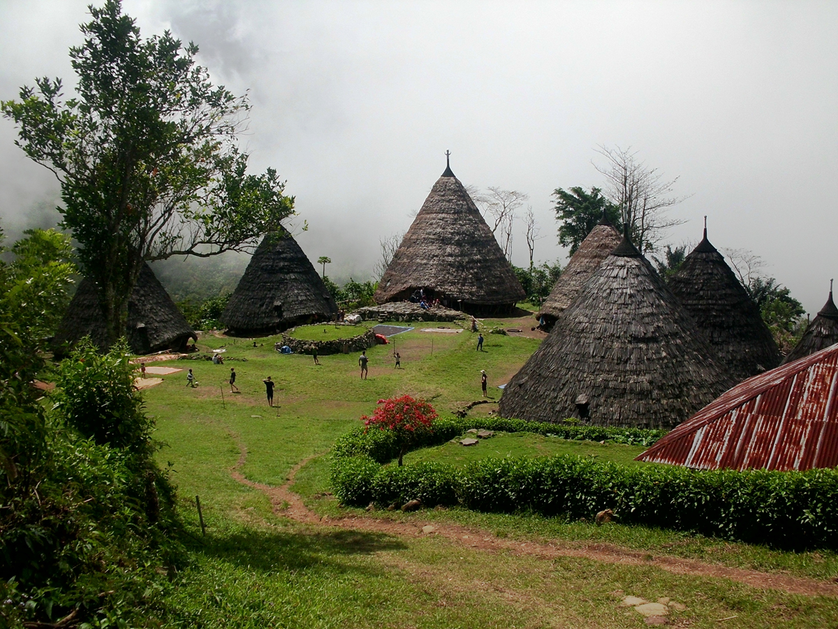 frequently questions komodo island