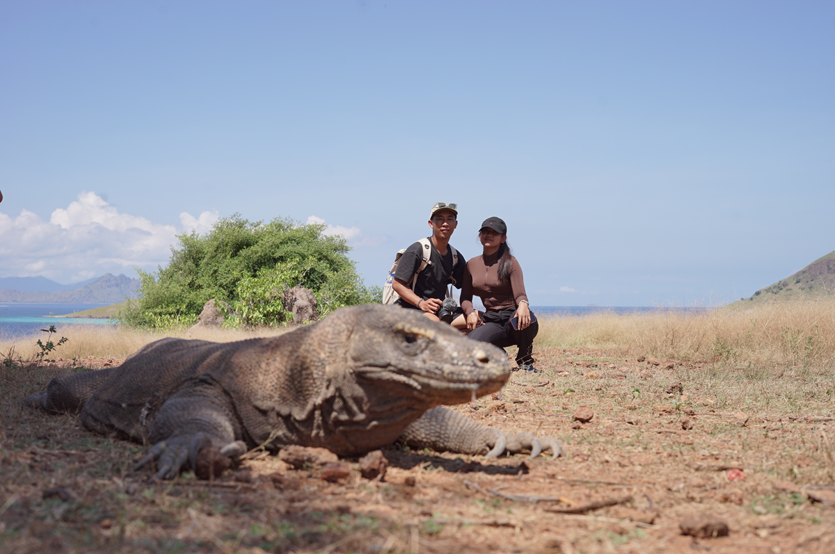 komodo island private tour
