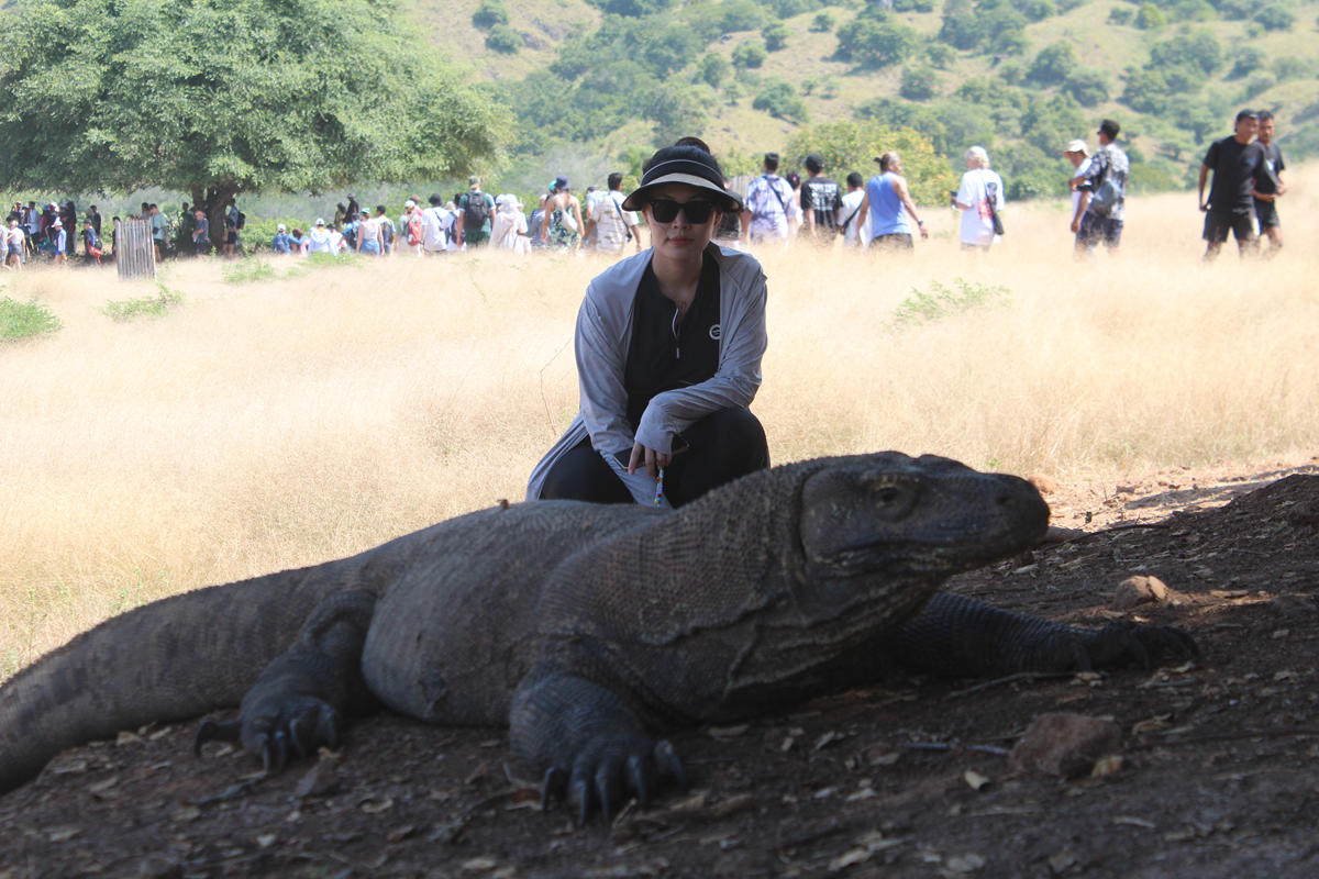 shared komodo 3 days