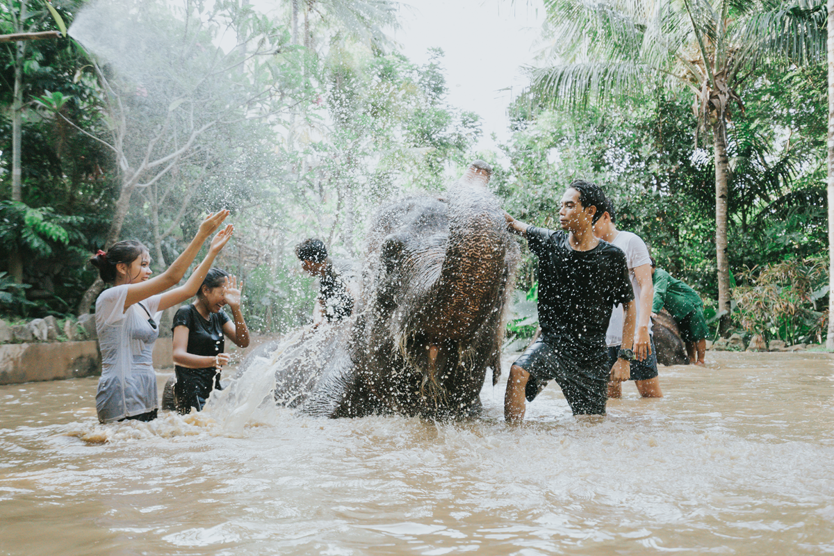 lombok wildlife park excursion