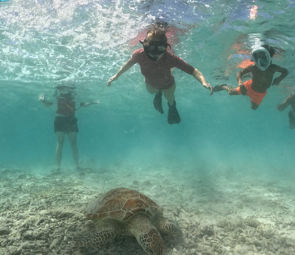 gili glass bottom tour