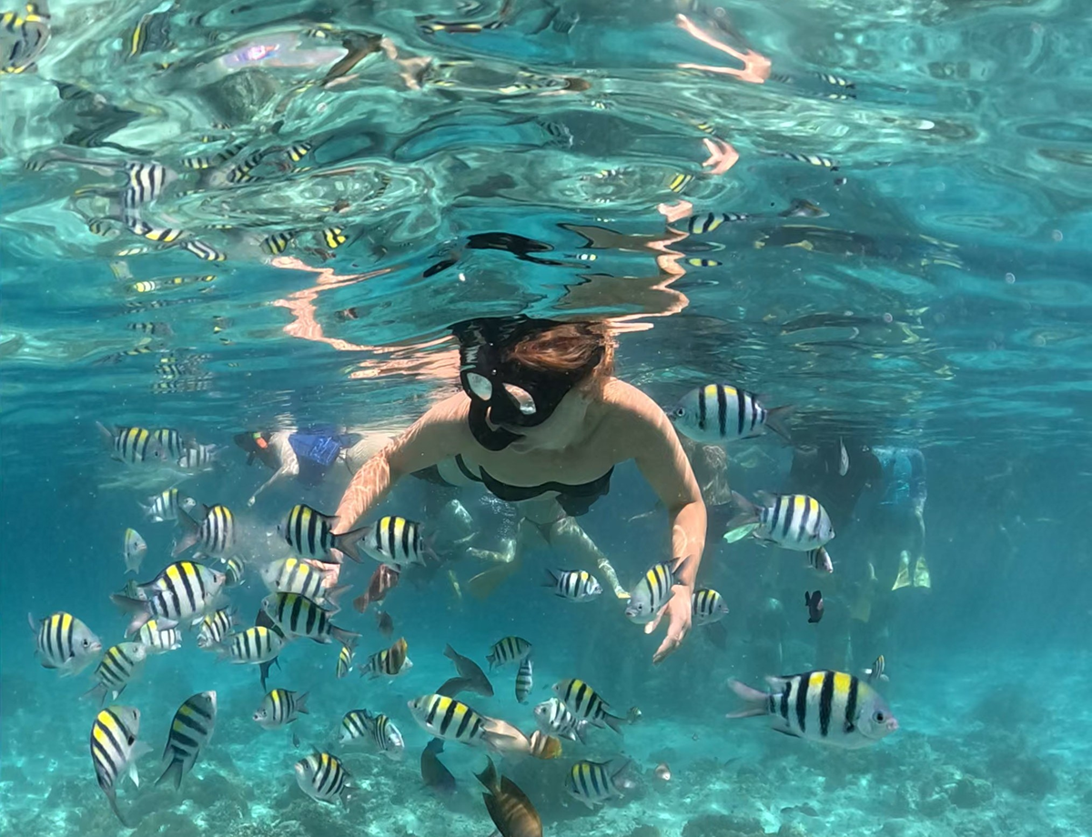 3 gili snorkeling excursion