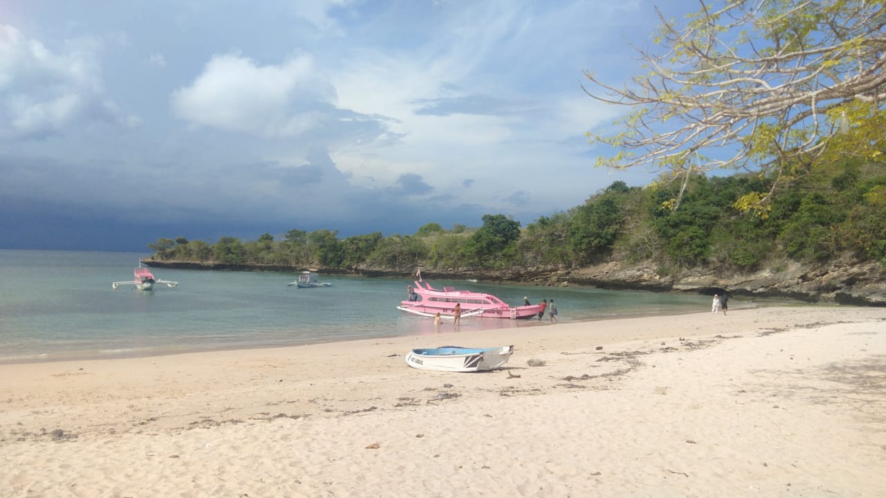 Pink Beach snorkeling, Lombok