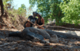 Komodo Shared Trip 2 Days