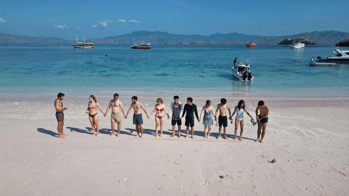 3-day komodo shared