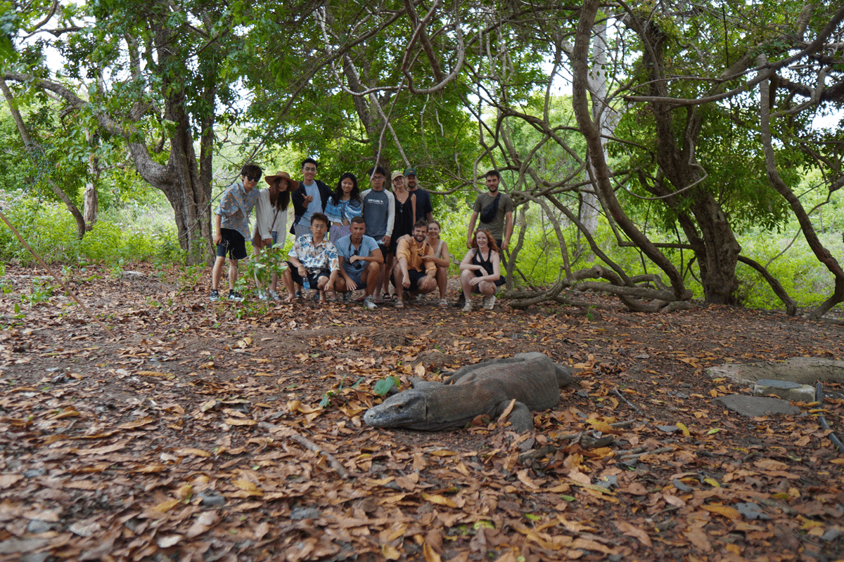 labuan bajo to komodo