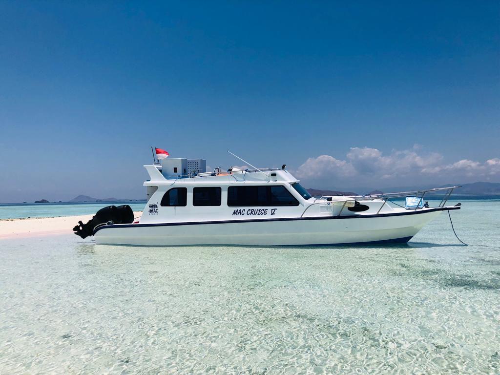 open trip komodo 1-day