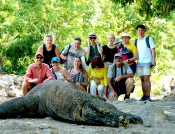 Komodo Shared Trip 2 Days