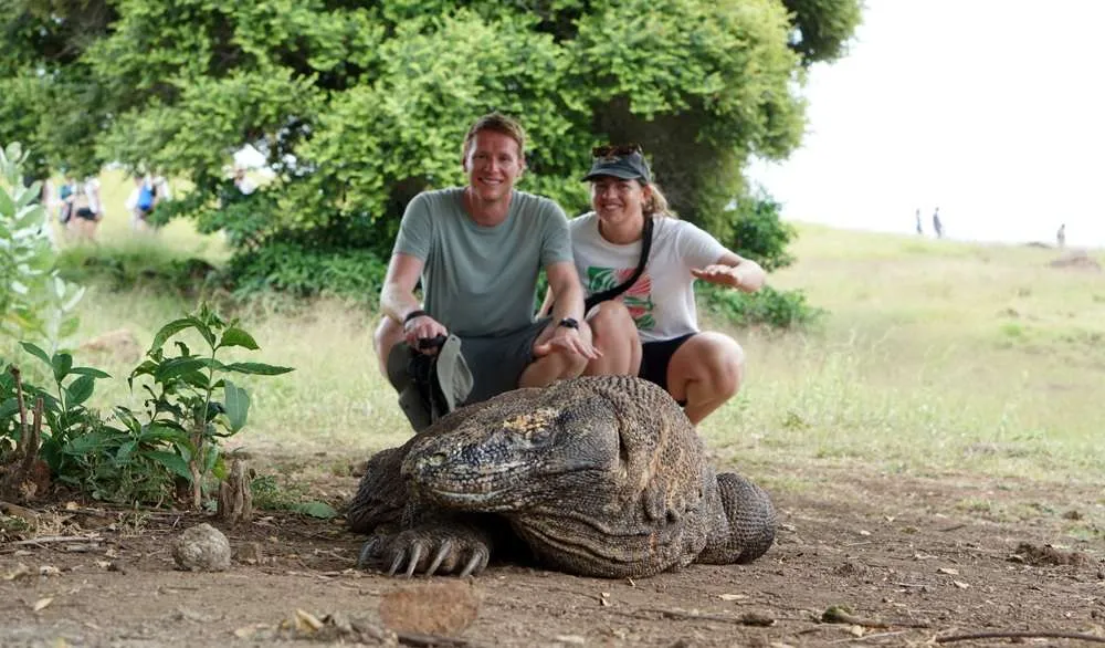 open trip komodo lombok