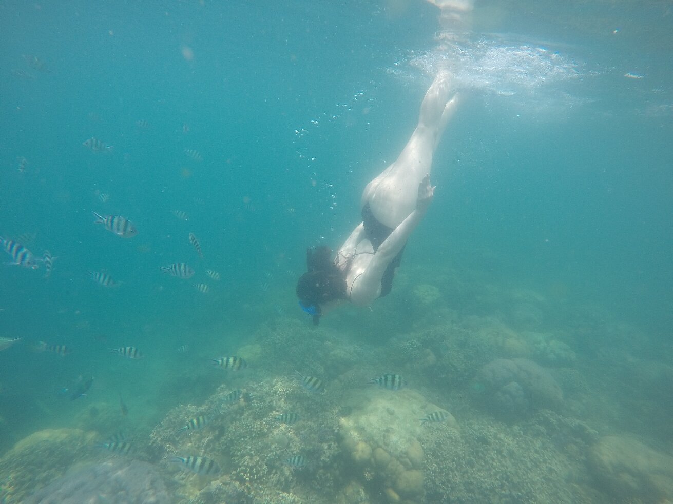 booking policy lombok tour
