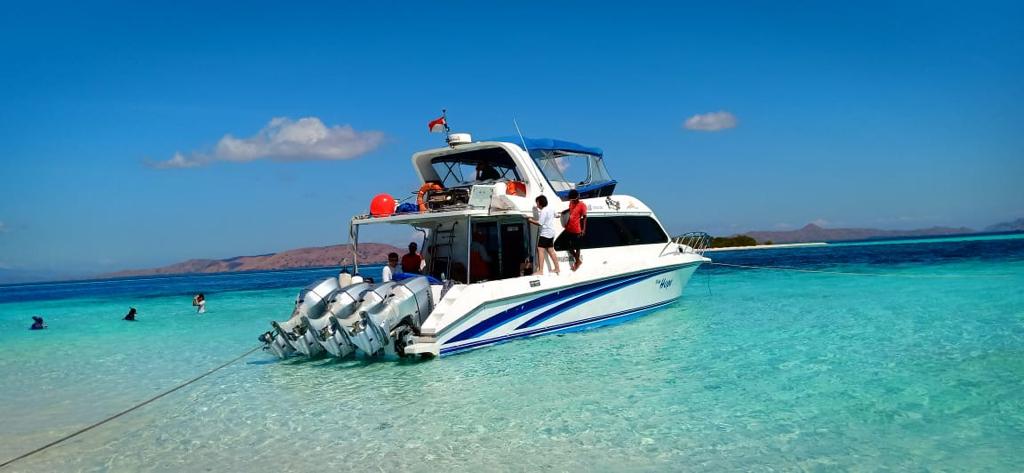 open trip komodo 1-day
