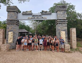 Komodo 4-Day From Gili Lombok