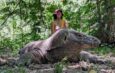 Komodo Shared Trip 2 Days