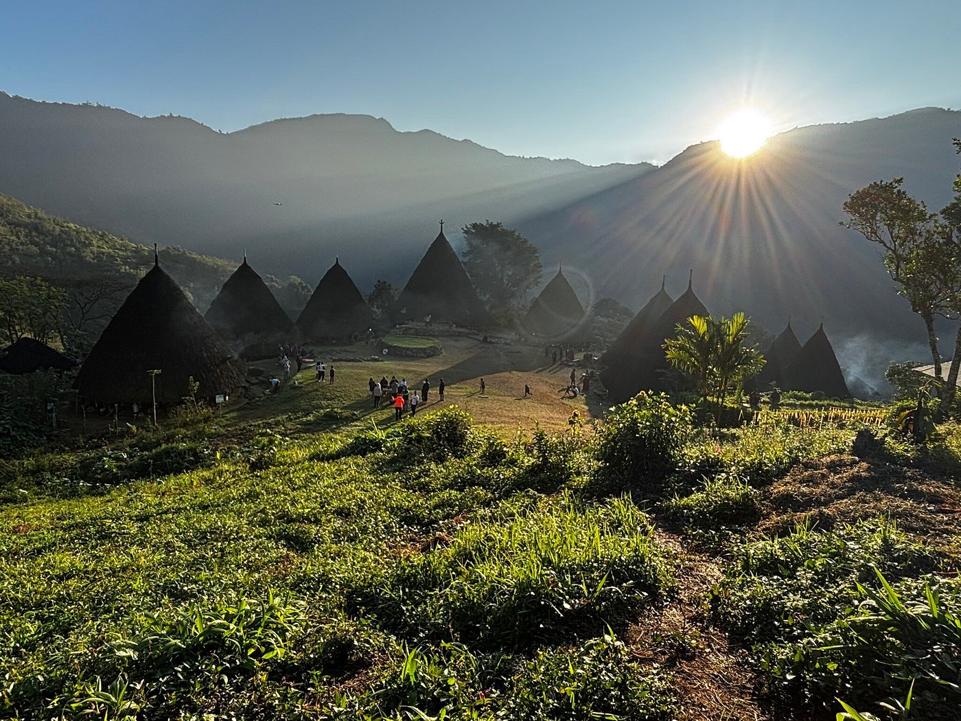 open trip wae rebo