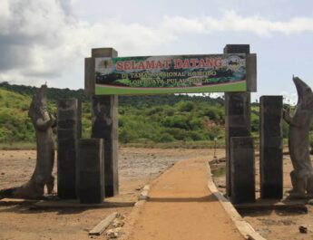Komodo Rinca Island Adventure