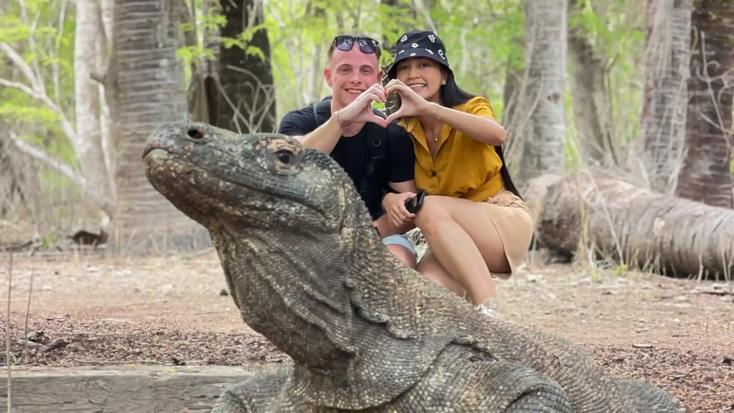 explore komodo national park