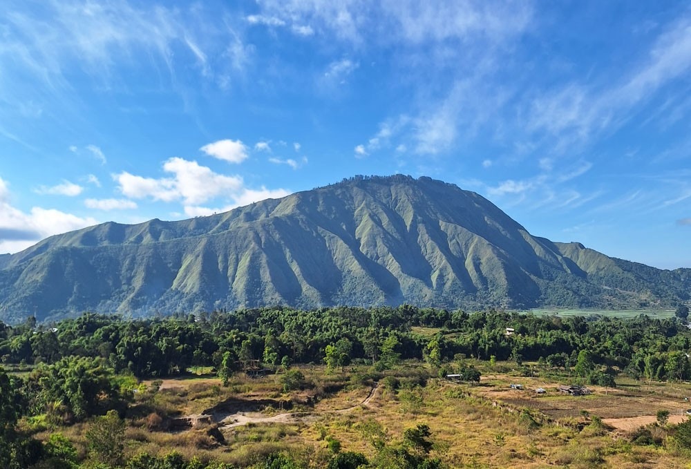 savanna dandaun sembalun tour